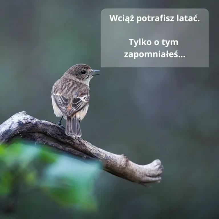 Dolina Echa